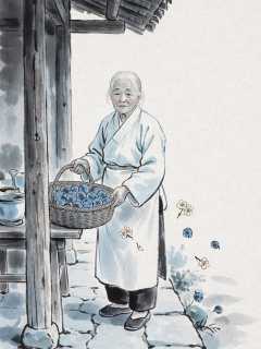老茶摊檐下，阿婆晒梅时吟的半阙小词
